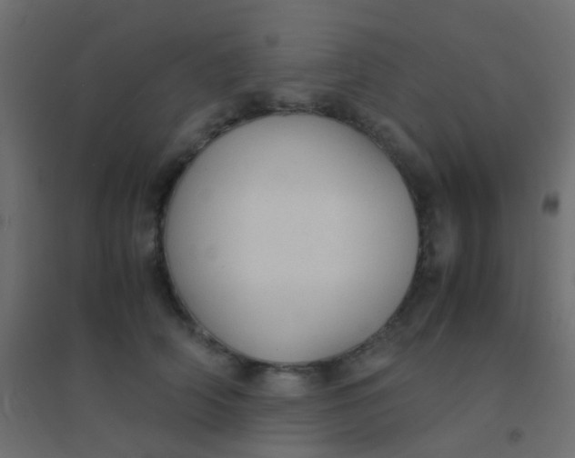 X0000094910706200712131453