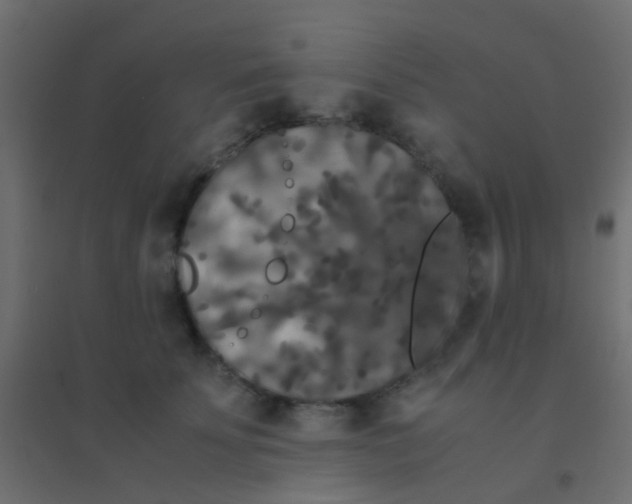 X0000094910707200712131453
