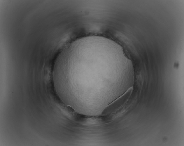 X0000094910708200712131453