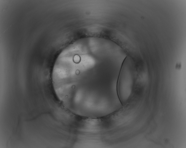 X0000094910711200712131453