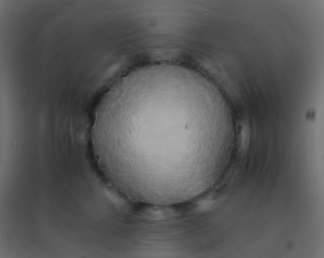 X0000094910712200712131453