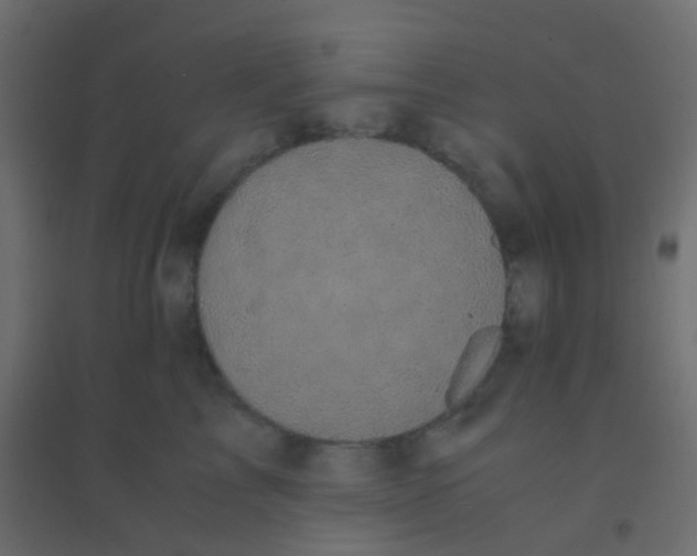X0000094910713200712131453