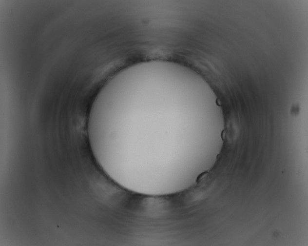 X0000094910714200712131453