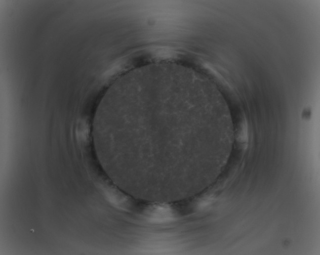 X0000094910715200712131453