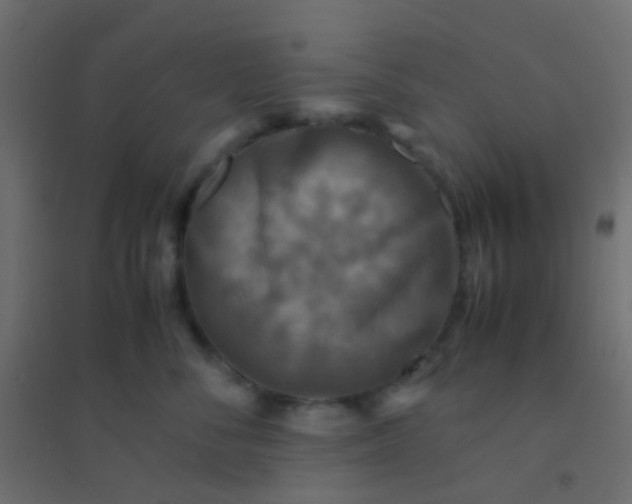 X0000094910716200712131453