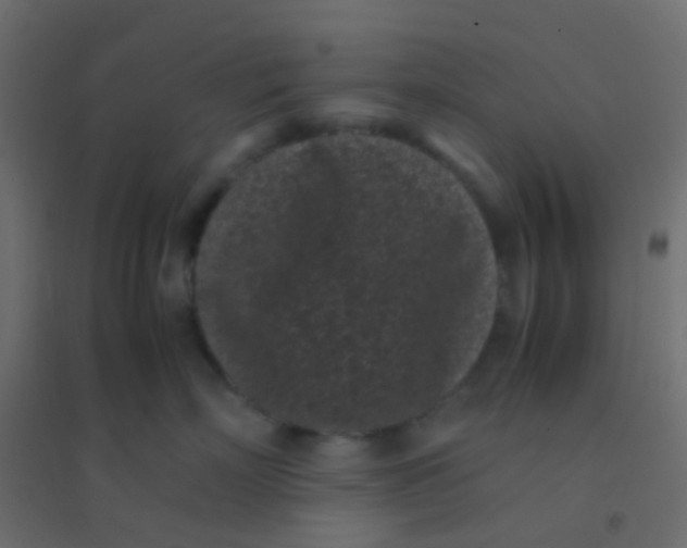 X0000094910718200712131453