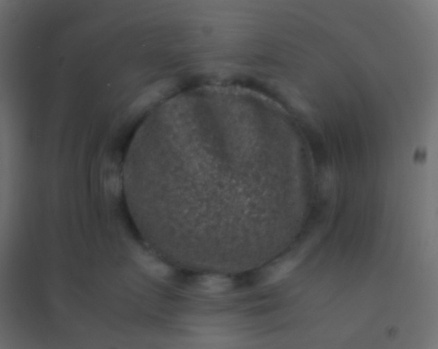 X0000094910719200712131453