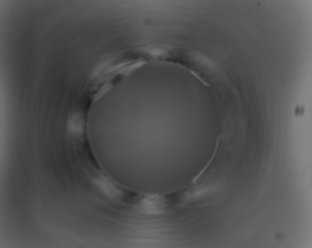 X0000094910720200712131453