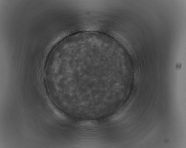X0000094910721200712131452