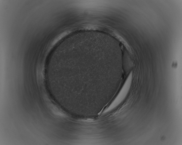 X0000094910722200712131452