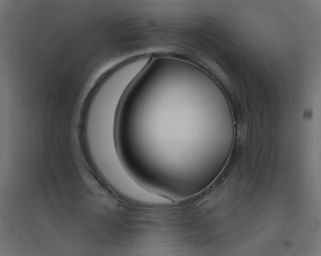 X0000094910724200712131452