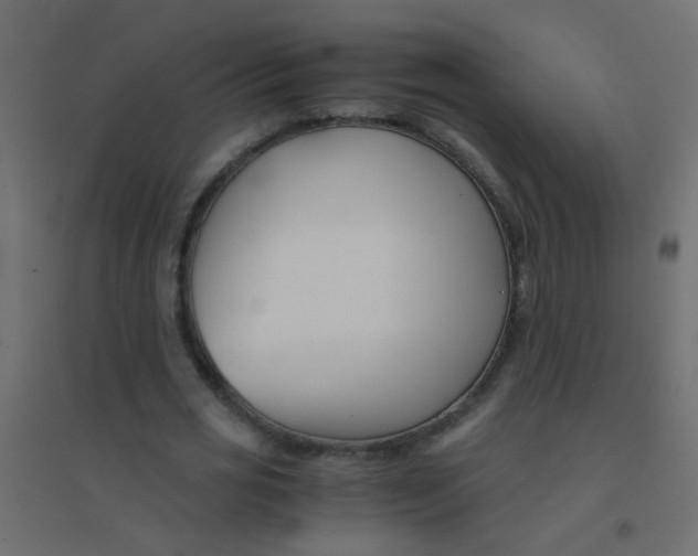 X0000094910725200712131452