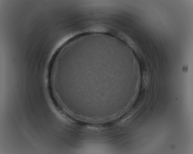 X0000094910726200712131452
