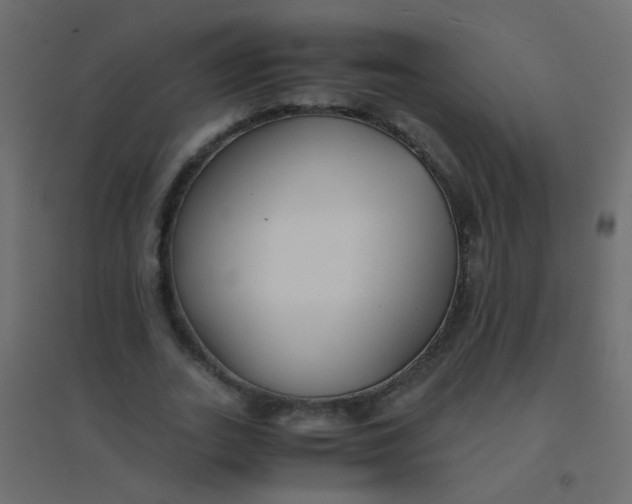 X0000094910727200712131452