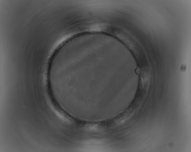 X0000094910728200712131452