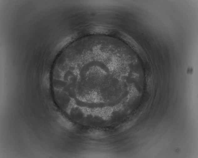 X0000094910729200712131452