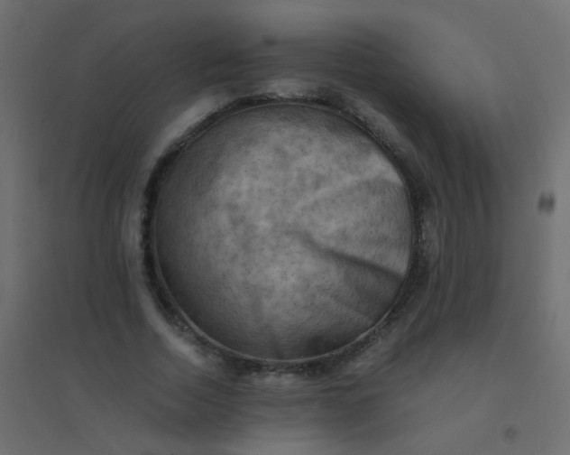 X0000094910730200712131452