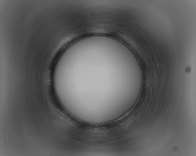 X0000094910731200712131452