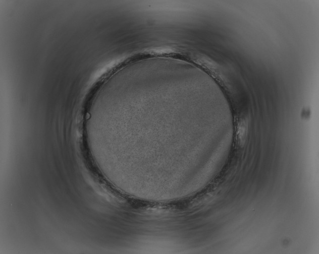 X0000094910732200712131452