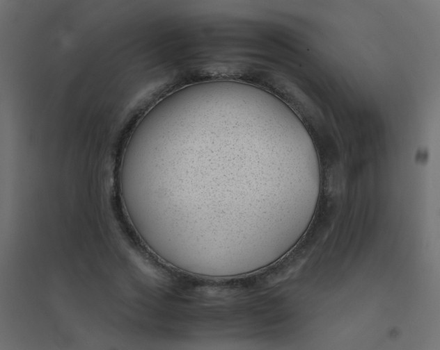 X0000094910733200712131452