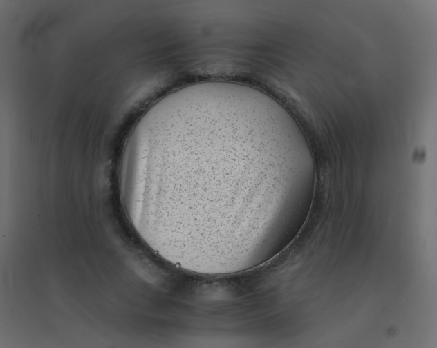 X0000094910735200712131452