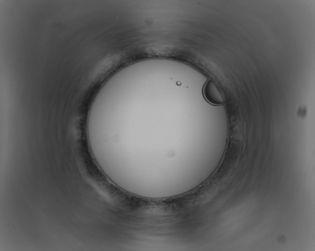 X0000094910738200712131452