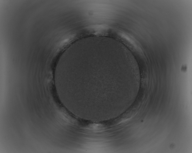 X0000094910748200712131452