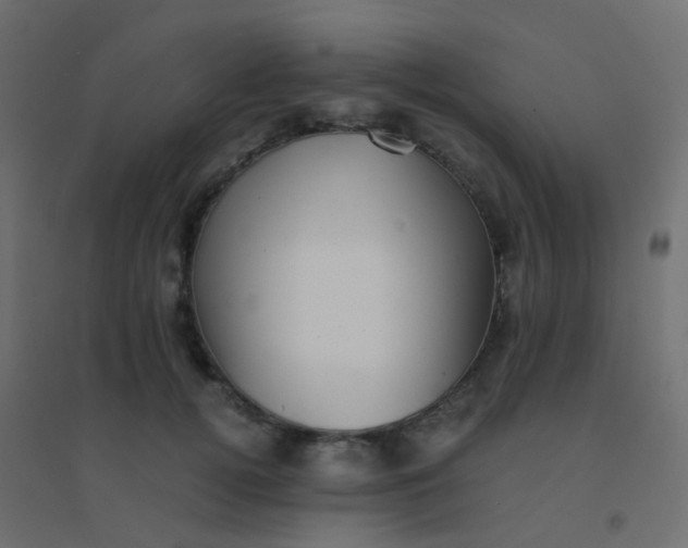X0000094910752200712131452