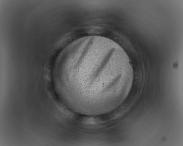 X0000094910755200712131452