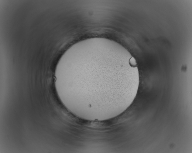 X0000094910758200712131452