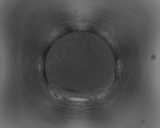 X0000094910760200712131452