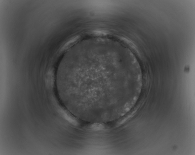 X0000094910762200712131453