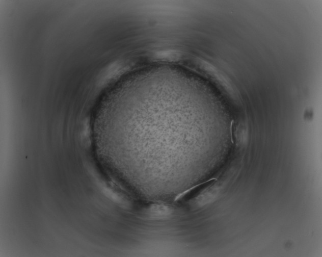 X0000094910764200712131453
