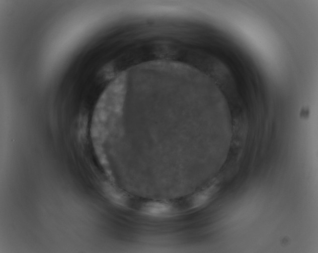 X0000094910765200712131453