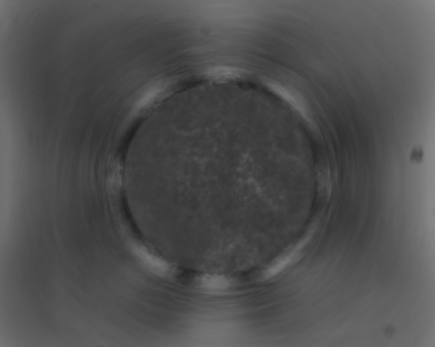 X0000094910766200712131453