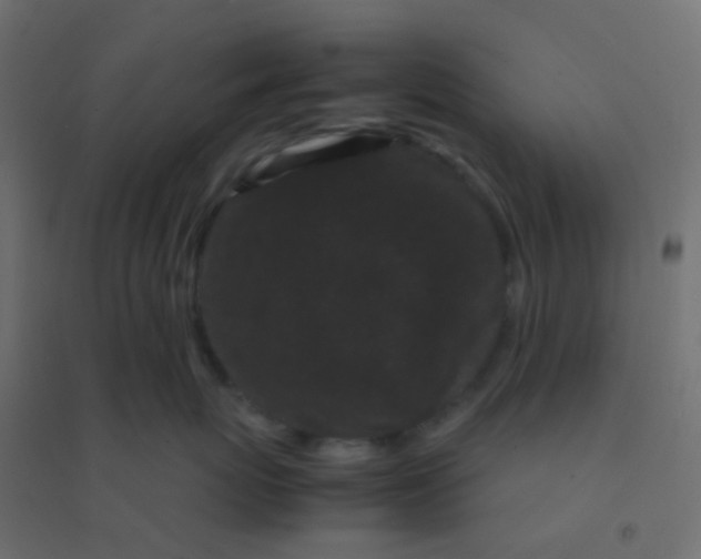 X0000094910767200712131453