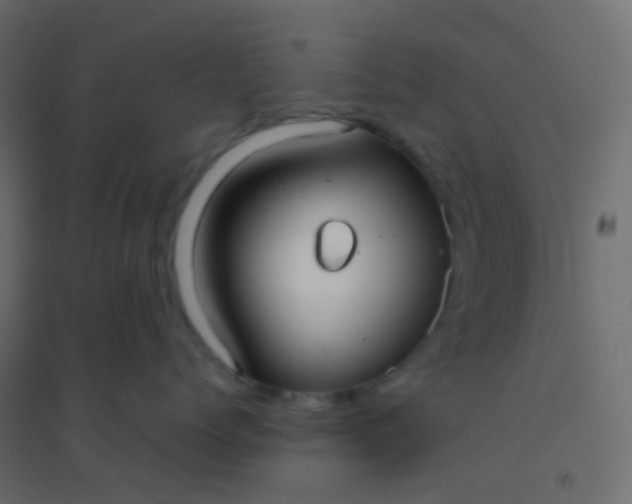 X0000094910768200712131453