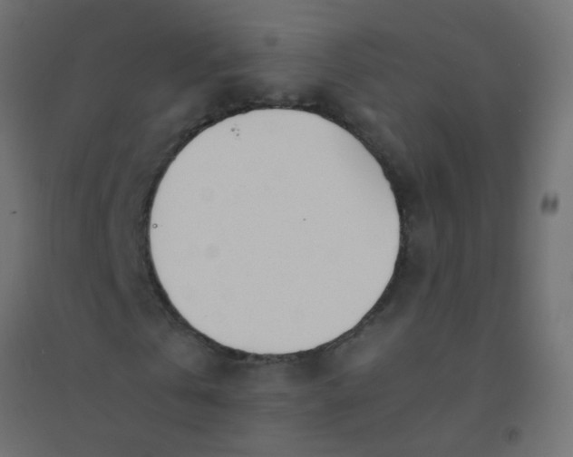 X0000094910769200712131452