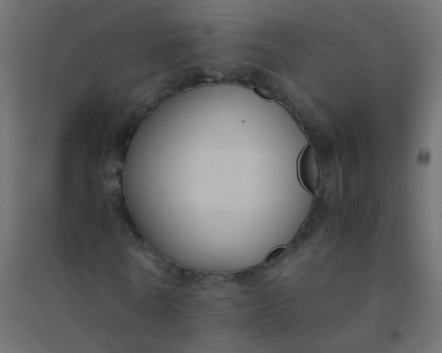 X0000094910770200712131452