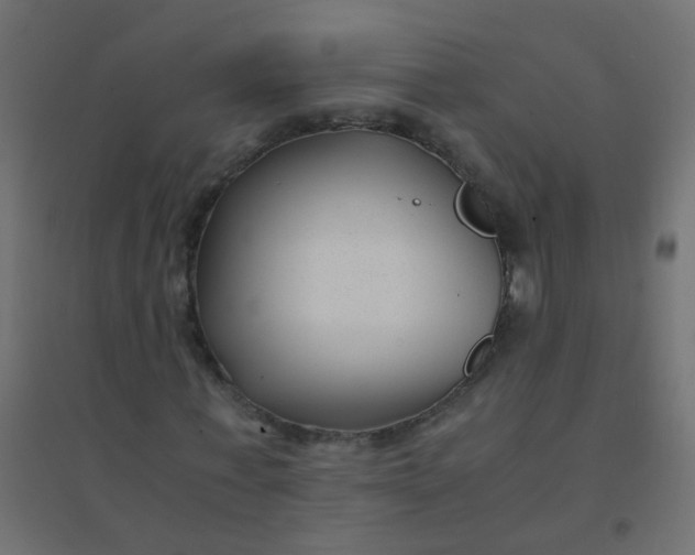 X0000094910771200712131452