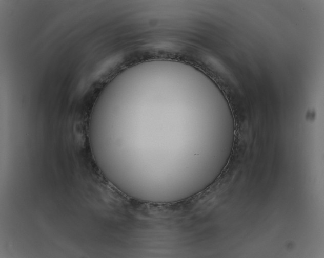 X0000094910774200712131452