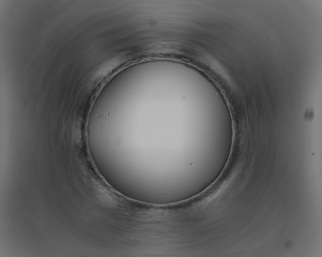 X0000094910777200712131452