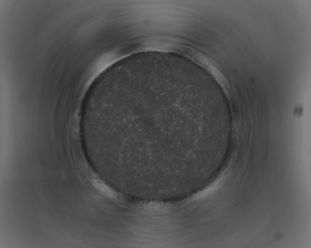 X0000094910779200712131452