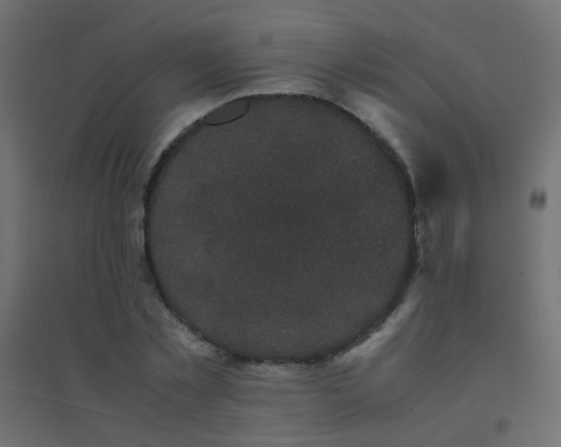 X0000094910781200712131452