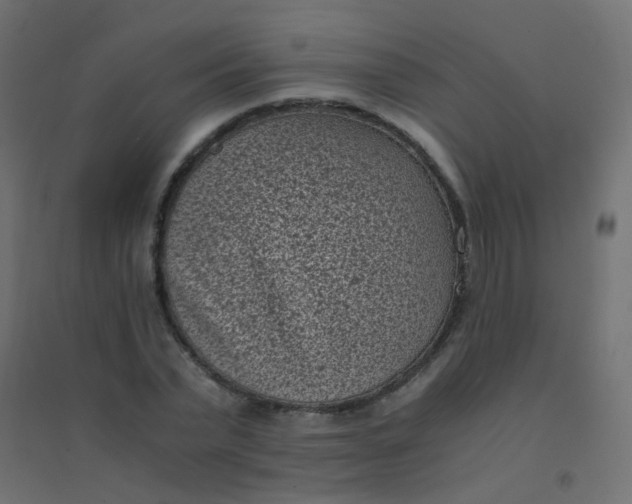 X0000094910783200712131452