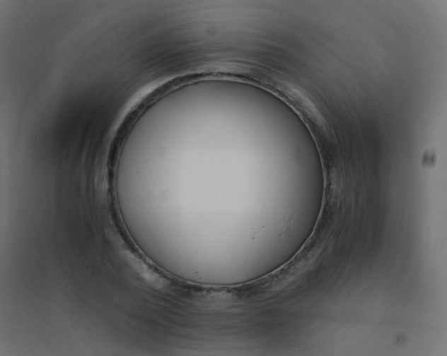 X0000094910784200712131452