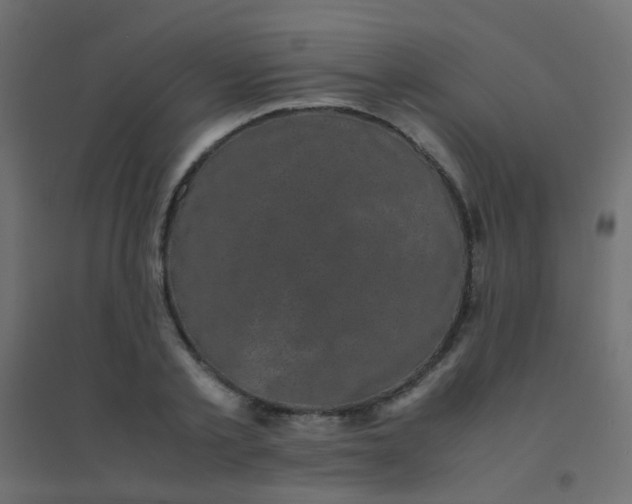 X0000094910789200712131452