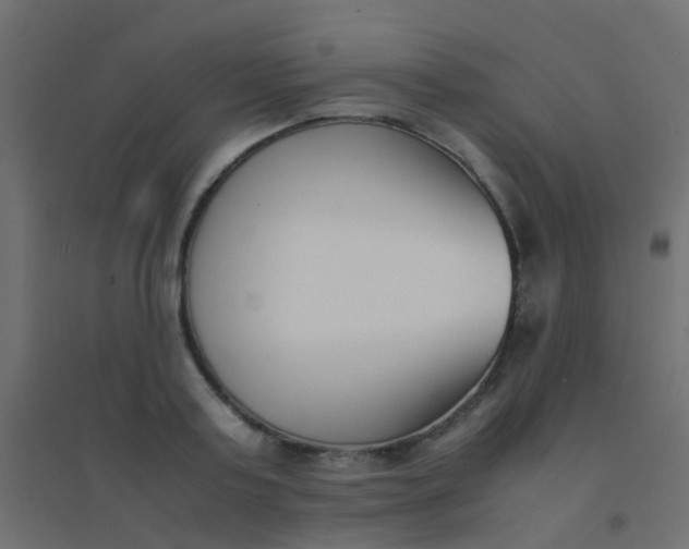 X0000094910795200712131452