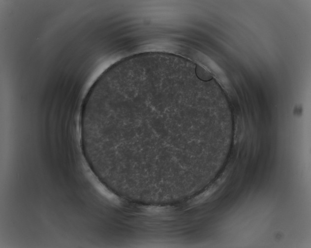 X0000094910796200712131452