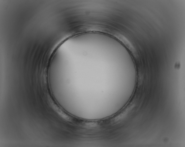 X0000094910798200712131452